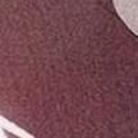 Read Secret Class RAW