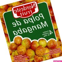 Polpa Nordeste Fruit de Mangaba 400 g