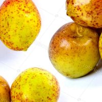 Mangaba Stock Photo vtupinamba 5830808