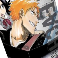 Bleach Box Set 2 Book
