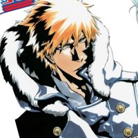 Bleach: The Best Manga Covers