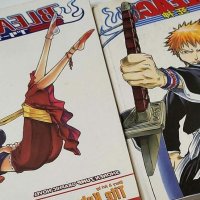 Bleach Manga Volumes 1 in Japanese and volume 2 english