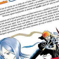 Bleach Vol. 10