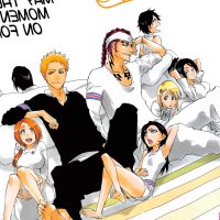 Thank You and Goodbye to Bleach