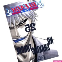 Bleach vol.25