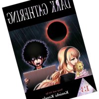 Dark Gathering Vol. 13: Kondo Kenichi: 9781974754878: : Books