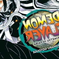Demon Slayer: Kimetsu no Yaiba Vol. 19