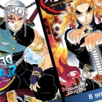 Manga volume cover in Demon Slayer Kimetsu No Yaiba