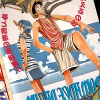 Things You Didnt Know About One Piece