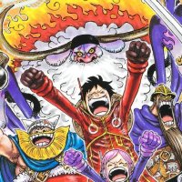 ONE PIECE 110 Book