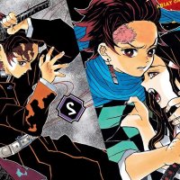 Demon Slayer: Kimetsu no Yaiba Volumes 1 and 2 Manga Review