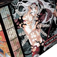 : Demon Slayer: Kimetsu no Yaiba Complete Box Set: 9781974725953: Gotouge Koyoharu: Books