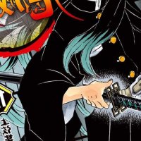 Chapters and Volumes