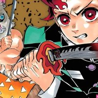 10 Best Demon Slayer Covers
