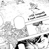 Chapter 221