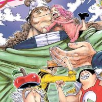ONE PIECE Kinokuniya USA
