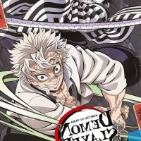 Demon Slayer: Kimetsu no Yaiba Hashira Training Arc