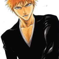 Bleach Manga Volume 19