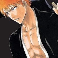 Bleach Manga
