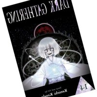Dark Gathering Vol. 14: Kondo Kenichi: 9781974755332: : Books