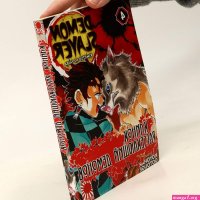Demon Slayer. Kimetsu no Yaiba Vol. 4