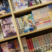 Exploring Libraries Challenges In Stocking Longer Manga Series