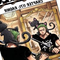 One Piece Chapter
