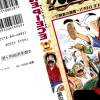 Chapters and Volumes