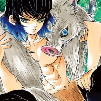 Chapters and Volumes