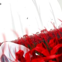 Exploring the Symbolism of Death In Anime