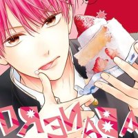 Cheeky Brat Vol. 13 by Mitsubachi Miyuki Paperback 9781975362058