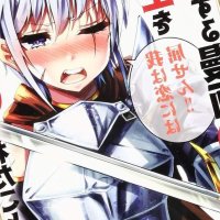 How to Treat a Lady Knight Right Comic vol.1 Manga Kengo Matsumoto Japanese used