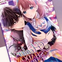 Healer for the Shadow Hero Manga Vol. 1 by Kyu Azagishi: 9798888436158