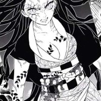 10 Best Demon Slayer Manga Panels