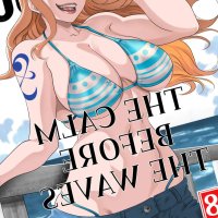 One Piece Hentai