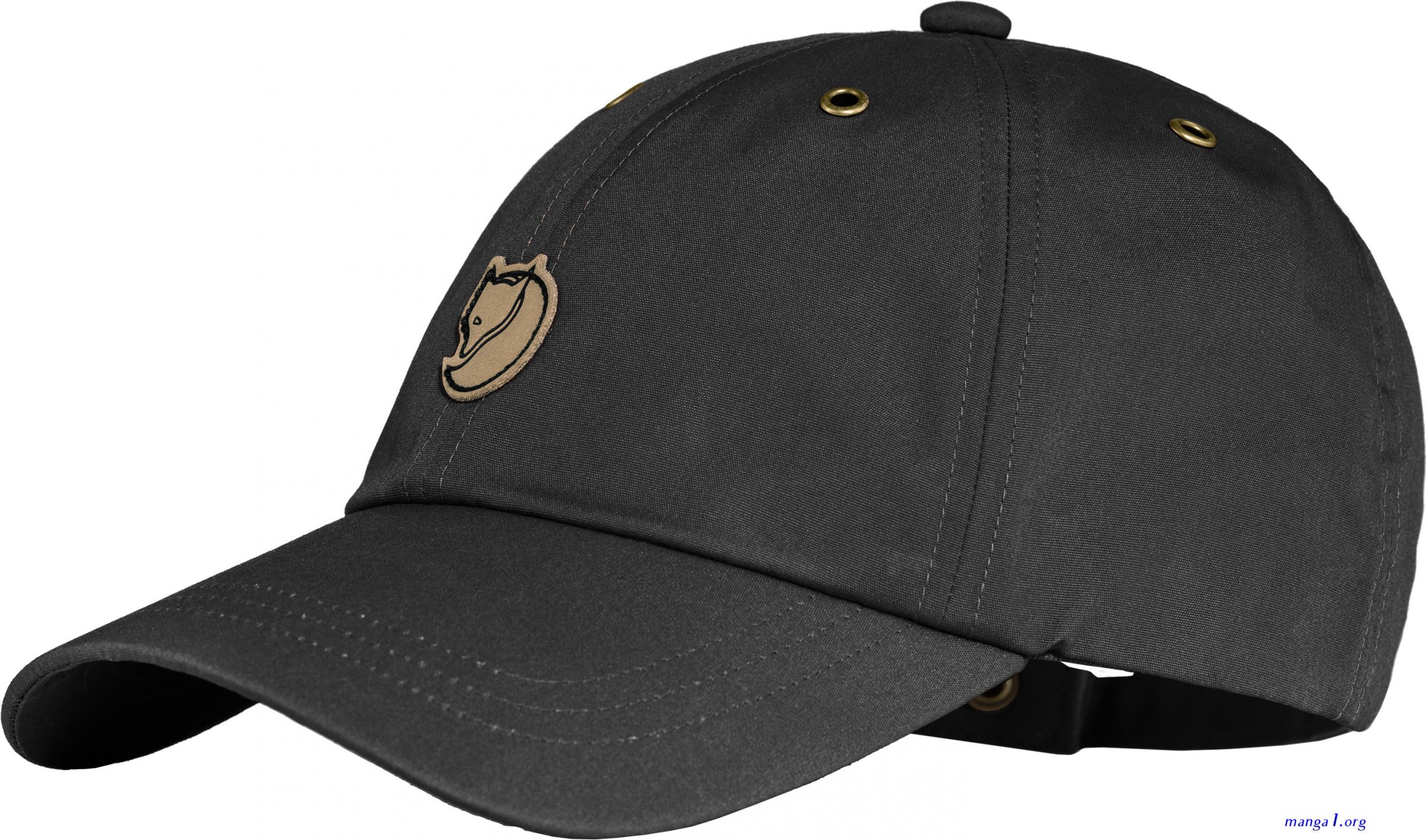 ang ang cap 21 en español