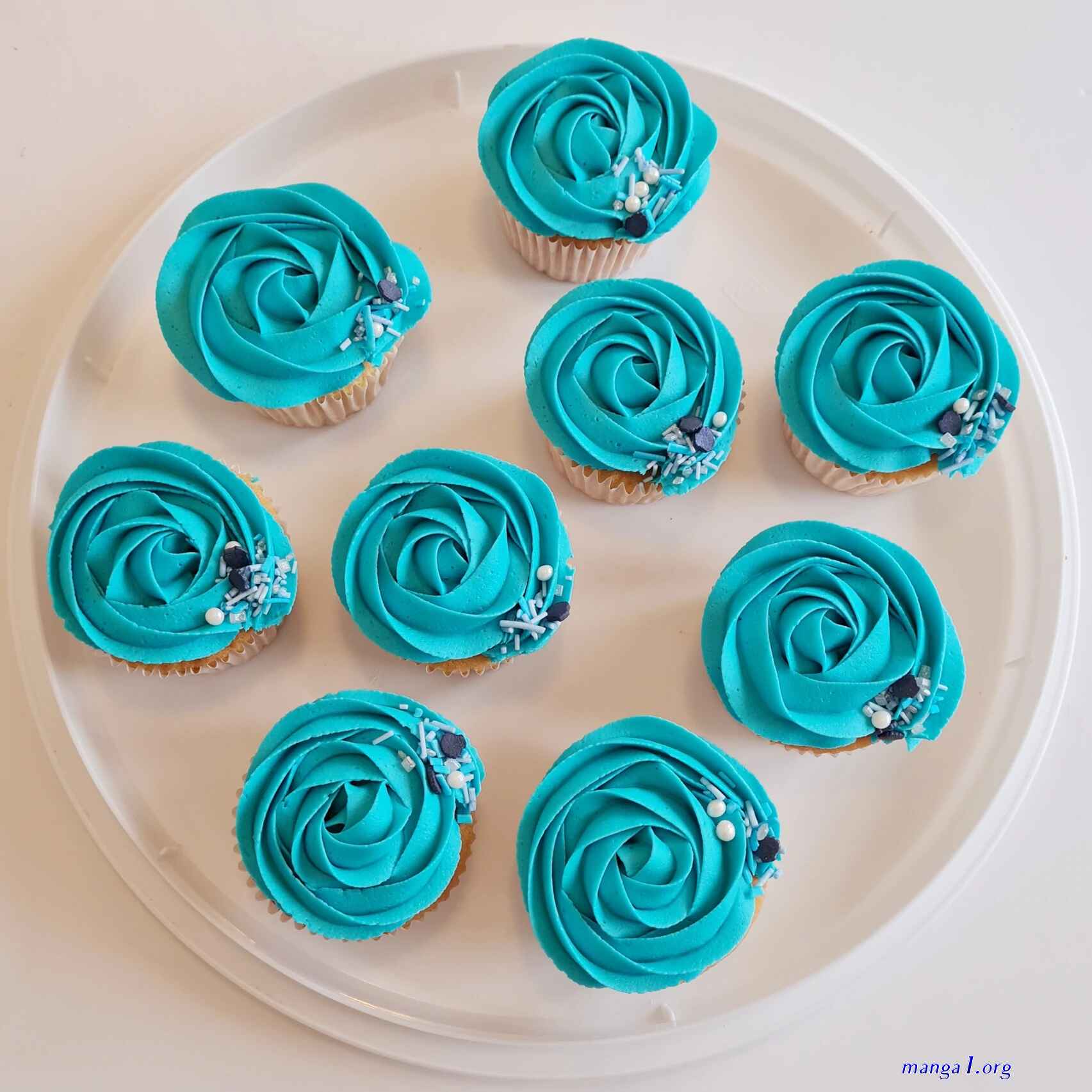 https://findbakers.co.uk/chapter/p gina 3901 a 4050/100270082/