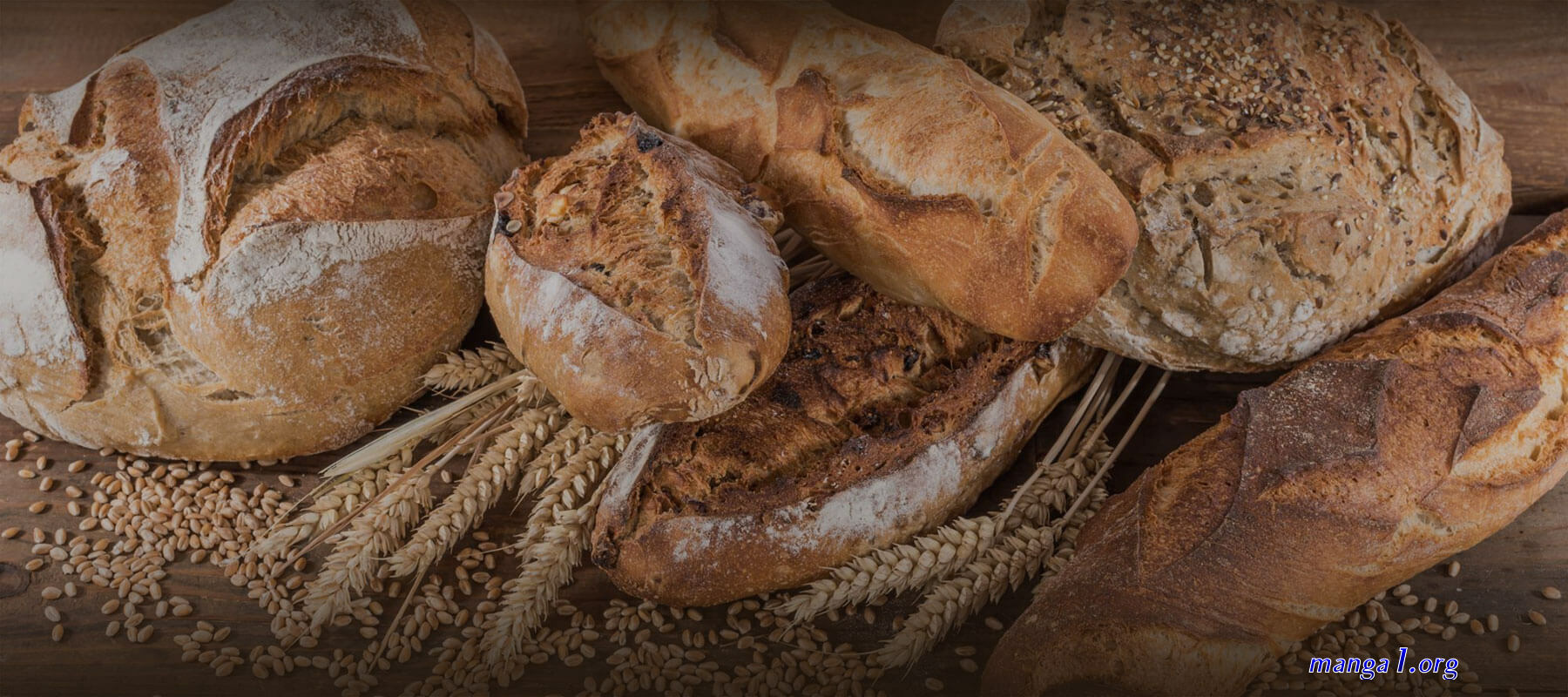 https://findbakers.co.uk/chapter/p gina 3901 a 4050/100270082/