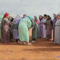 عذارى في القانون