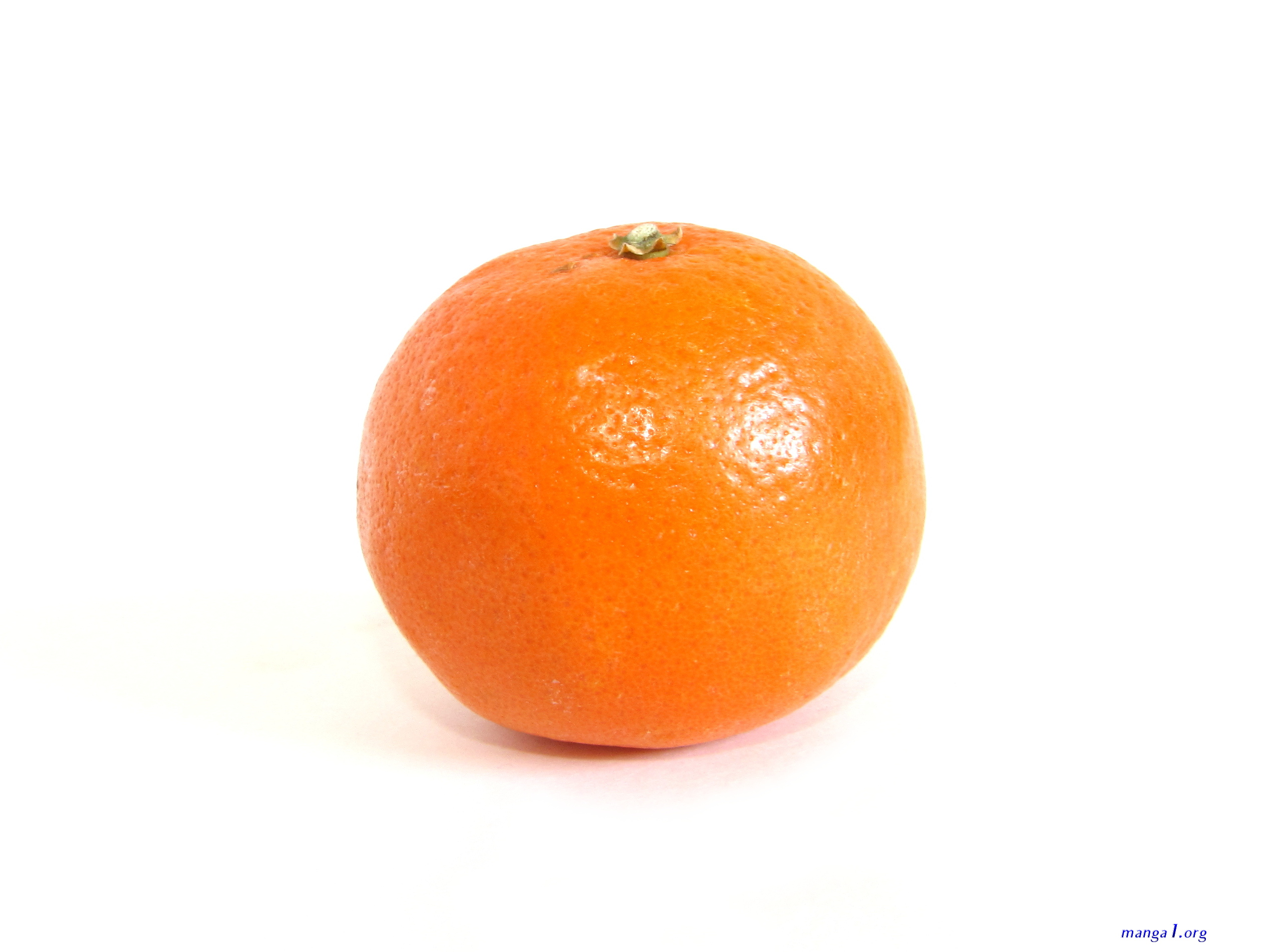 citrus scan 42