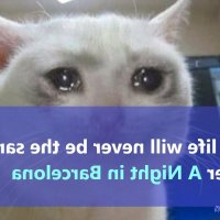 a night on barcelona yuri on ice