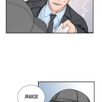 monthly chest bl ch 50