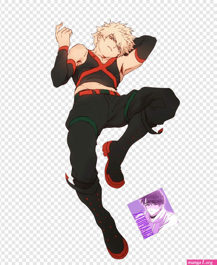 hero acedemia manga bl