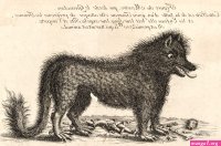 hija del monstruo duque