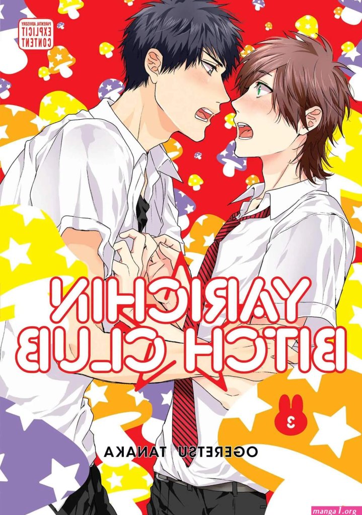 sex-toys-yaoi-manga.jpg