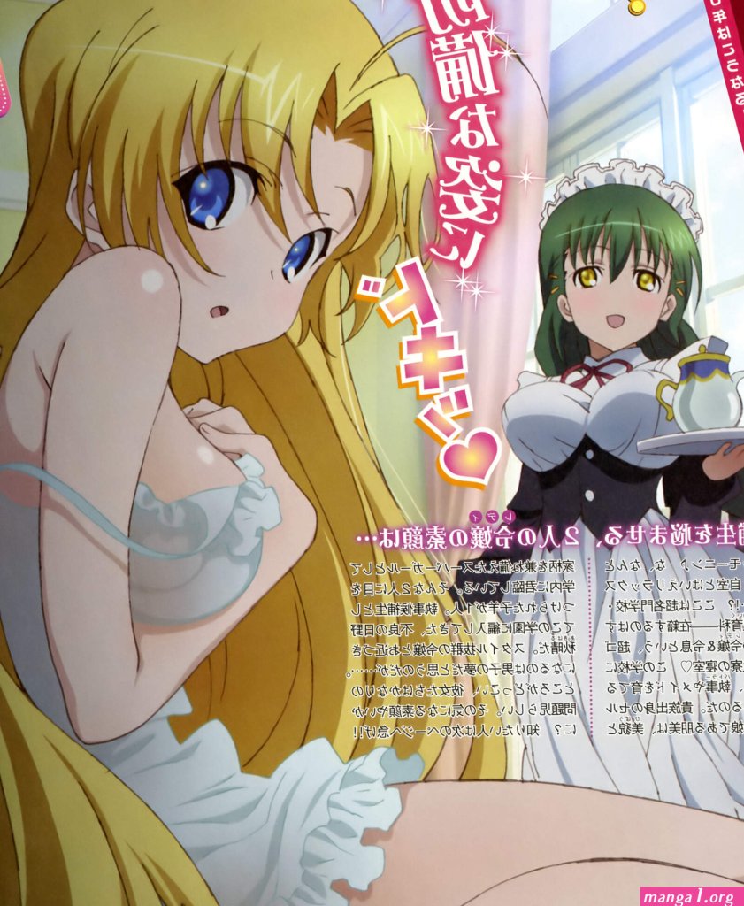 Ladies-vs-butlers-manga.jpg