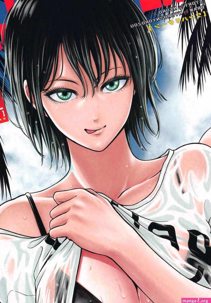 One-punch-man-hentai-manga.jpg