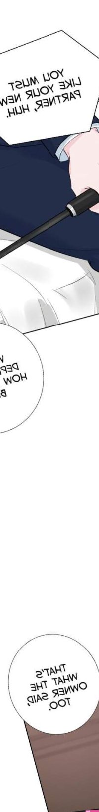 Love and Passion BL Yaoi Uncensored Adult Manhwa orchisasia.org