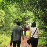 Jungle mein Mangal