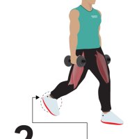 How to Split Squat: Variations Proper Form Techniques Dumbbell Equipment